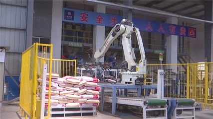 年產(chǎn)值10億元！湖北丹富仕飼料項目建成投產(chǎn)，為畜牧養(yǎng)殖注入強勁動力