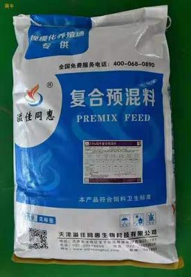 科學飼喂助繁殖 母牛高效發情與營養管理策略