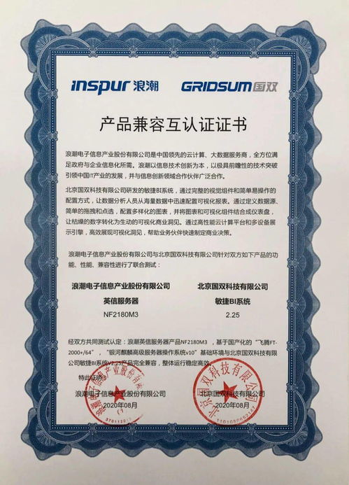 國雙助力信創產業生態建設，補強大型企業級基礎軟件服務缺口